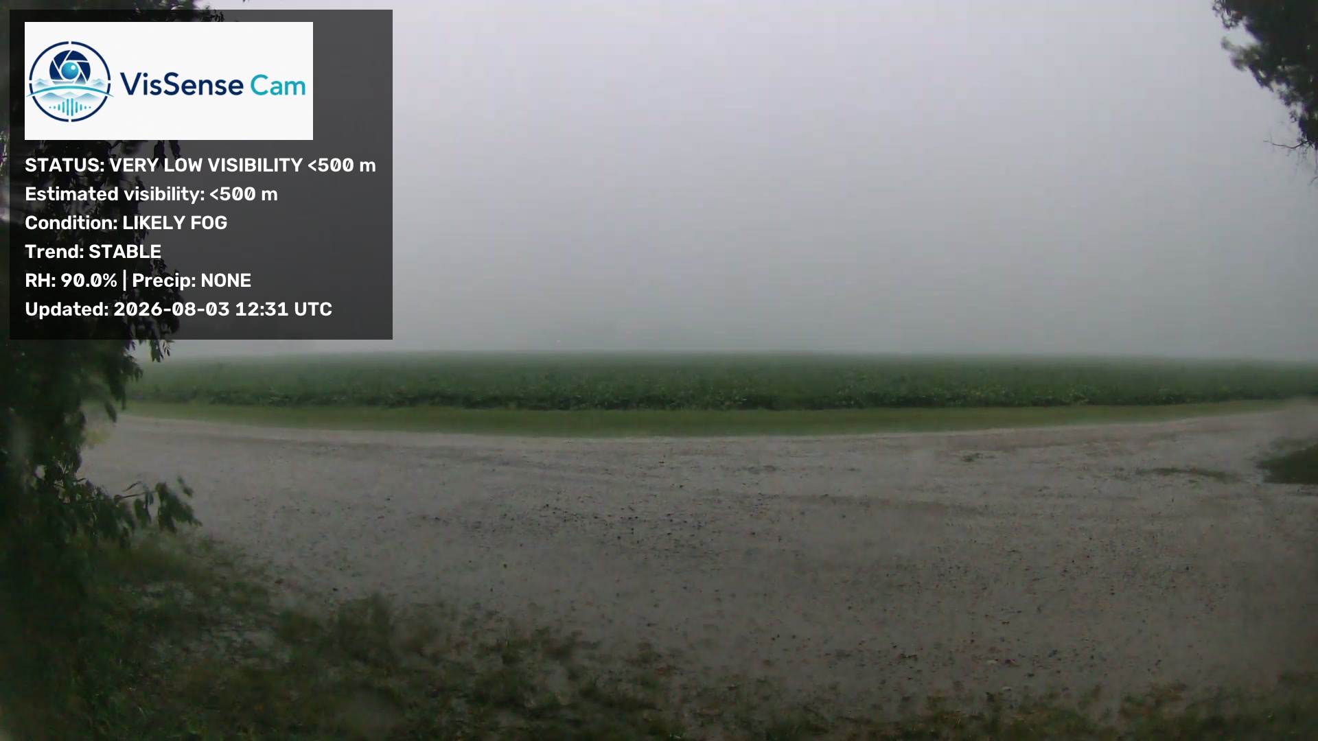 VisSense Cam example showing very low visibility and likely fog